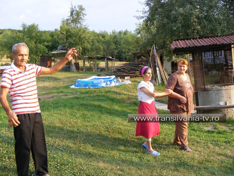 Azil privat în locul grajdului la Dăbâceni (VIDEO)