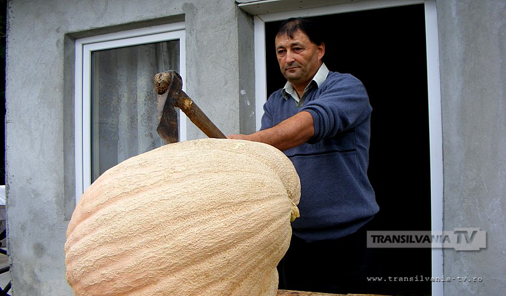 Dovleac gigant lângă horincia din Gostila (VIDEO)