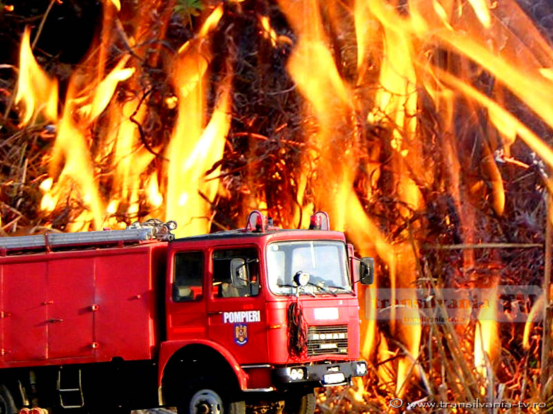 Incendii izbucnite noaptea trecută la Ciuguzel și Pânade