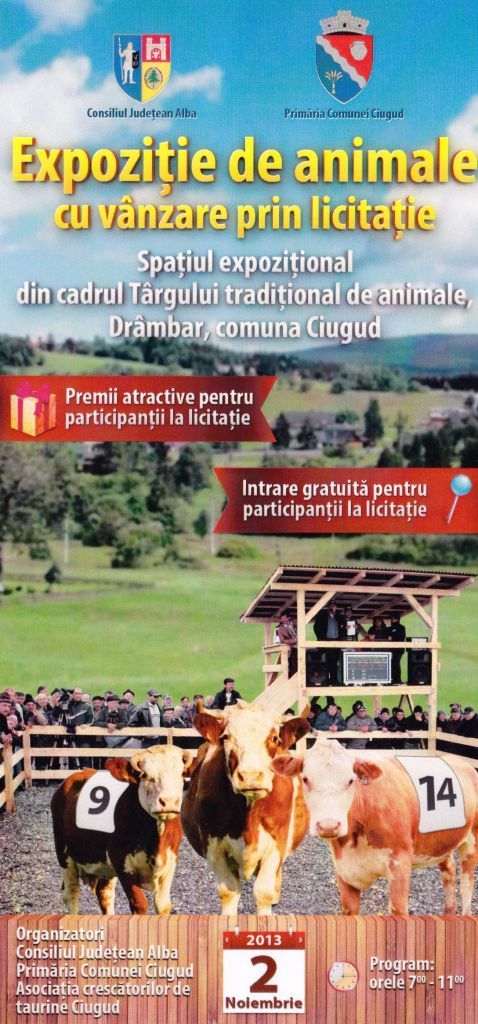 Drâmbar: Târg de animale, cu vânzare prin licitație