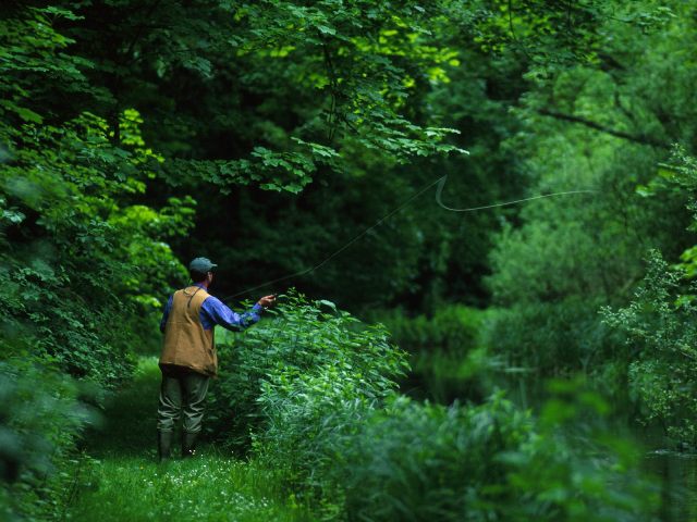 Bărbat din Lunca Mureșului, prins în flagrant în timp ce pescuia cu o unealtă interzisă