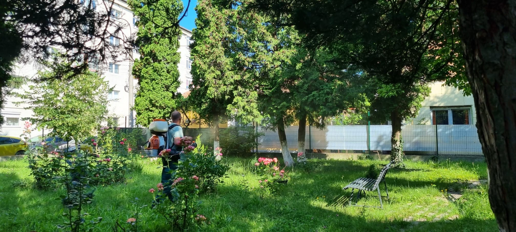 Acțiune de dezinsecție împotriva țânțarilor în municipiul Sibiu