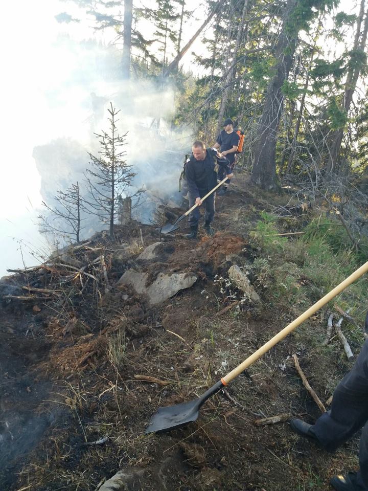 Incendiu izbucnit pe o plantație de conifere din comuna Romuli