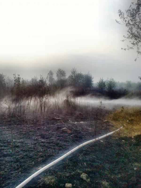 Șase hectare de vegetație uscată au ars în localitatea Gîrbova