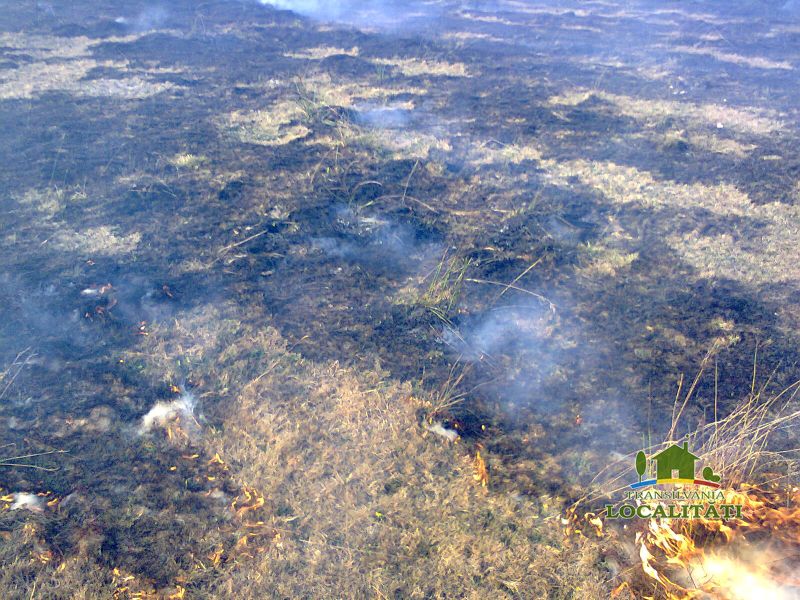 Incendii de vegetație uscată stinse de pompieri în Costești și Vlădășești