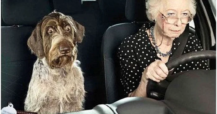 Parlamentarii considera pensionarii ,,spaima soselelor” si vor sa-i pedepseasca!
